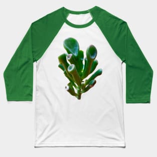 Crassula Ovata Gollum Baseball T-Shirt